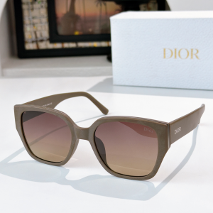 Dior Signature Square Luxury Eyewear Sunglasses CD0258S Gray Dior Signature Square Luxury Eyewear Sunglasses CD0258S Gray