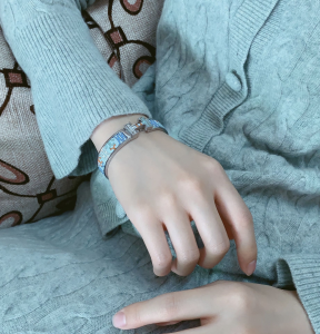 Luxury Womens Jewelry Hermes Clic H Panoplie Equestre Bracelet A205PP260 AA145654