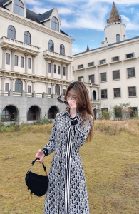 Luxury Womens Clothing Dior Vintage Oblique Shirt Dress SML A154PP580 AA146115