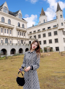 Luxury Womens Clothing Dior Vintage Oblique Shirt Dress SML A154PP580 AA146115