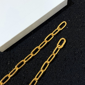 Luxury Womens Jewelry Celine Triomphe Gold Link Necklace A205PP160 AA146206