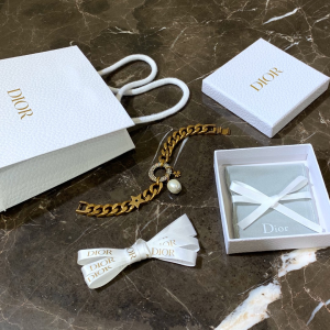 Luxury Womens Jewelry Dior Link Chain Bracelet A205PP160 AA146195