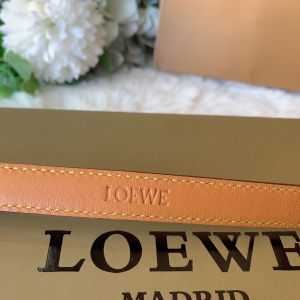 Luxury Womens Belts Loewe Anagram Sky Blue Calf Leather Belt 10MM A28PP240 AA146286