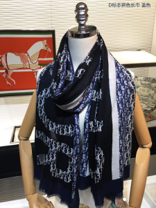 Dior Oblique Cashmere Silk Scarf Blue 