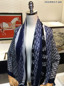 Luxury Womens Scarf Dior Oblique Cashmere Silk Scarf Blue 110x200CM A151PP240 AA146622