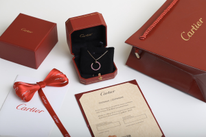 Luxury Womens Jewelry Cartier Diamonds Juste UN Clou Necklace A205PP260 AA146885