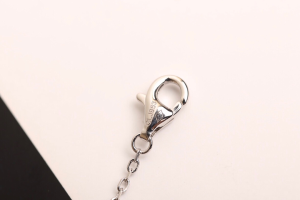 Luxury Womens Jewelry Cartier Diamonds Juste UN Clou Necklace A205PP260 AA146887