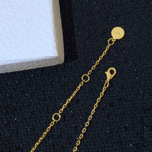 Luxury Womens Jewelry Dior Clair D Lune Necklace A205PP150 AA146893