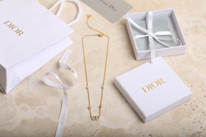 Luxury Womens Jewelry Dior Clair D Lune Necklace A205PP160 AA146894