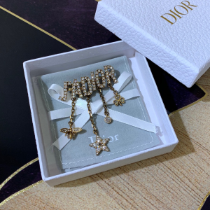 Dior Crystals Diorevolution Brooch 