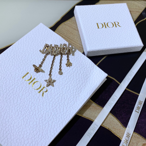 Luxury Womens Jewelry Dior Crystals Diorevolution Brooch A205PP150 AA146875