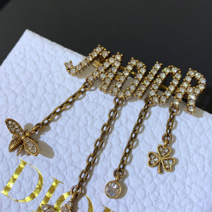 Luxury Womens Jewelry Dior Crystals Diorevolution Brooch A205PP150 AA146875