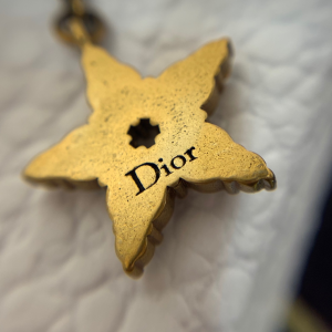 Luxury Womens Jewelry Dior Crystals Diorevolution Brooch A205PP150 AA146875