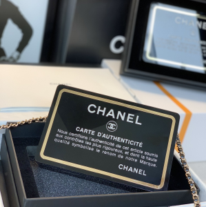 Luxury Womens Handbags Chanel Black Card Evening Clutch A118PP1450 AA147223