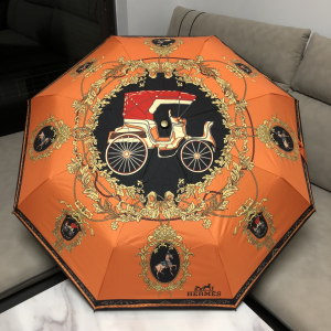 Hermes Luxury Umbrella Orange 