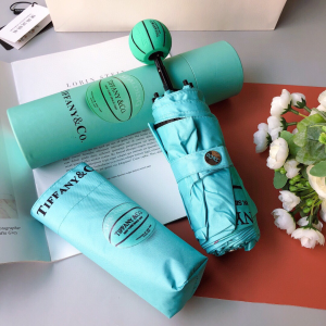 Luxury Womens Umbrella Tiffany Luxury Umbrella A144PP100 AA147368