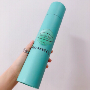 Luxury Womens Umbrella Tiffany Luxury Umbrella A144PP100 AA147369