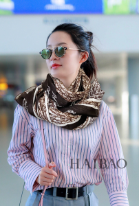 Luxury Womens Scarf Dior Oblique Cashmere Silk Scarf Brown 60x180CM A151PP170 AA147435