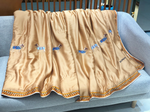 Hermes Couvertures Nouvelles Silk Blanket 