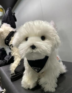 Luxury Womens Accessories Prada Nylon Pet Collar Black 2YC011 A155PP160 AA148141