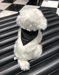 Luxury Womens Accessories Prada Nylon Pet Collar Black 2YC011 A155PP160 AA148141