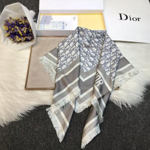 Dior Oblique Cashmere Silk Scarf Grey 