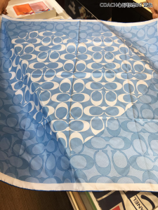 Coach Signature Cashmere Silk Scarf Blue 