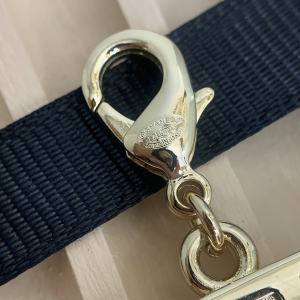 Luxury Womens Jewelry Chanel CC Logo Chain Necklaces A205PP200 AA149013