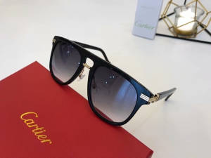 Cartier Luxury Sunglasses ESW00430 