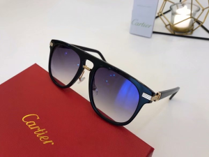 Cartier Luxury Sunglasses ESW00430 