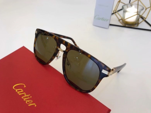 Cartier Luxury Sunglasses ESW00430 