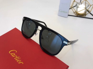Cartier Luxury Sunglasses ESW00430 