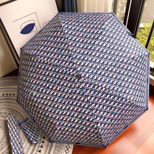 Dior Oblique Umbrella Blue 