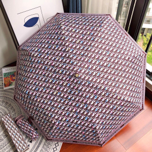 Dior Oblique Umbrella Burgundy 