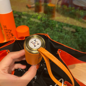 Luxury Womens Umbrella Hermes Horse Printed Umbrella in Orange A144PP100 AA149461