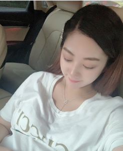 Luxury Womens Jewelry Hermes Finesse Diamond Necklace Silver A205PP200 AA150803