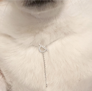 Luxury Womens Jewelry Hermes Finesse Diamond Necklace Silver A205PP200 AA150803