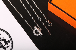 Luxury Womens Jewelry Hermes Finesse Diamonds Necklaces A205PP180 AA150810