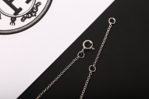 Luxury Womens Jewelry Hermes Finesse Diamonds Necklaces A205PP180 AA150810