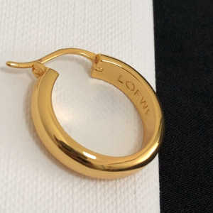 Luxury Womens Jewelry Loewe Anagram Asymmetric Earrings A39PP148 AA150909