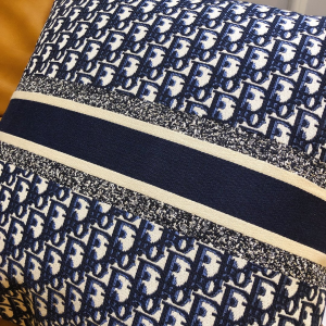 Luxury Home Cushions Dior Blue Dior Oblique Cushions A62PP280 AA151475