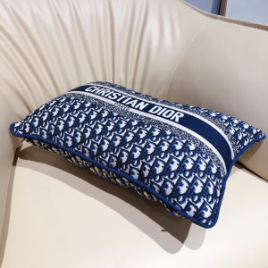 Luxury Home Cushions Dior Blue Dior Oblique Cushions A62PP280 AA151476