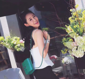 Luxury Womens Jewelry Hermes CDC Collier de Chien Bracelets A205PP380 AA151372