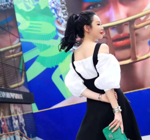 Luxury Womens Jewelry Hermes CDC Collier de Chien Bracelets A205PP380 AA151372