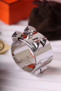 Luxury Womens Jewelry Hermes CDC Collier de Chien Bracelets A205PP380 AA151372