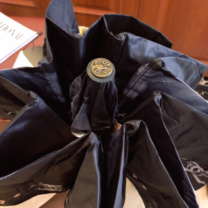 Luxury Womens Umbrella Chanel Large CC Logo Umbrella in Black A190PP115 AA151320