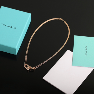 Luxury Womens Jewelry Tiffany HardWear Double Link Pendant Necklace A205PP240 AA151977