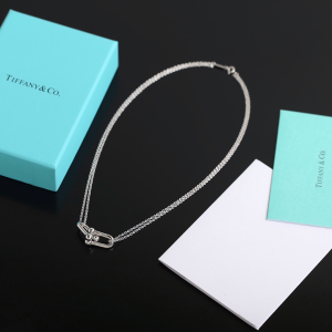 Luxury Womens Jewelry Tiffany HardWear Double Link Pendant Necklace A205PP240 AA151977