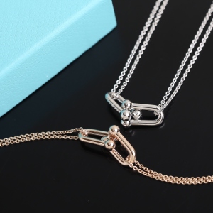 Luxury Womens Jewelry Tiffany HardWear Double Link Pendant Necklace A205PP240 AA151977
