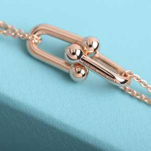 Luxury Womens Jewelry Tiffany HardWear Double Link Pendant Necklace A205PP240 AA151977